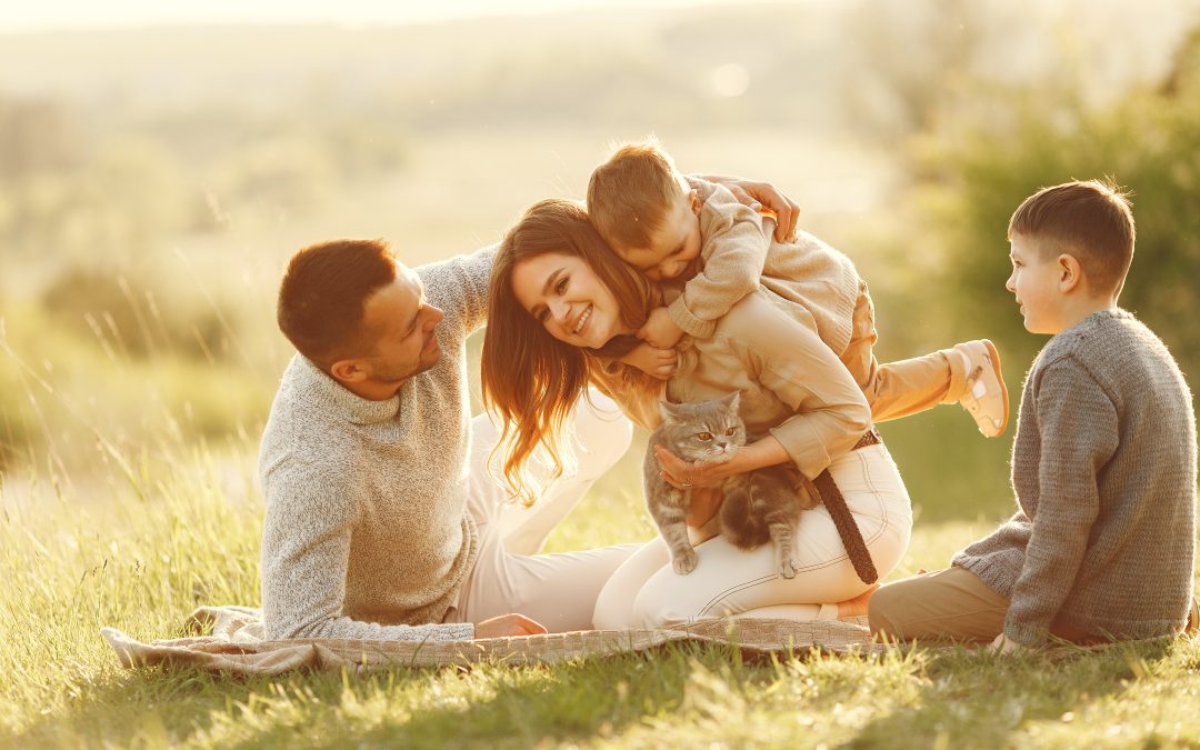 Importancia del Derecho de Familia en nuestra sociedad